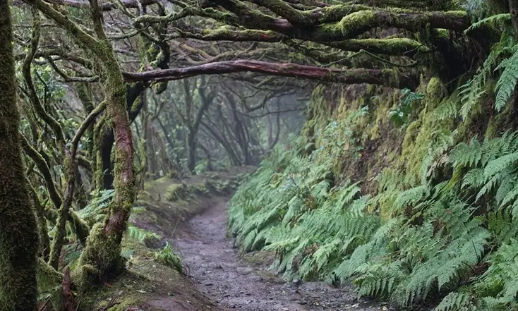 Top 10 Attractions in Tenerife You Must See