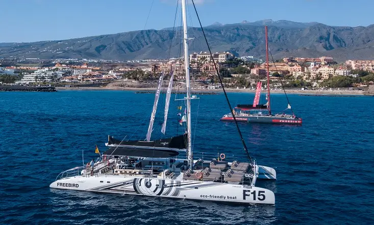  Croisière en catamaran à Tenerife – 4,5 h 