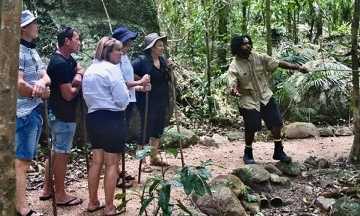 Guided tours in Tenerife